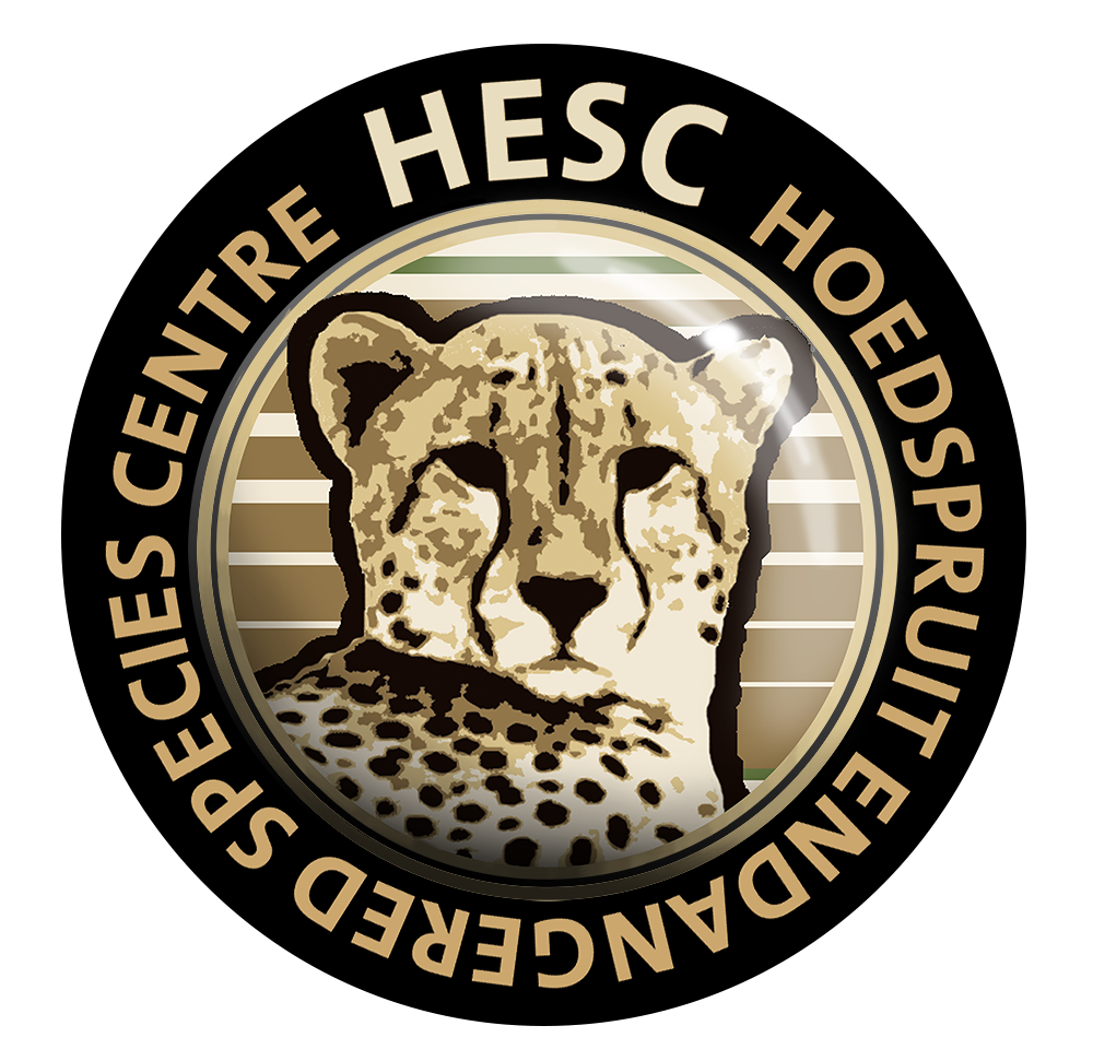 hesc logo